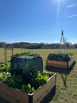 Pest Control Pop-Ups 13 Pest Control Pop-Ups -Indoor Oasis Supplies 8611989 05 tif