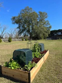 Pest Control Pop-Ups 12 Pest Control Pop-Ups -Indoor Oasis Supplies 8611989 08 tif