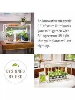 Tabletop Grow Kit -Indoor Oasis Supplies 8612507 4