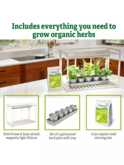 Tabletop Grow Kit -Indoor Oasis Supplies 8612507 6