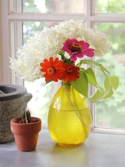 Achla Designs Teardrop Rooting Vase 10 Achla Designs Teardrop Rooting Vase -Indoor Oasis Supplies 8612530ye 02v