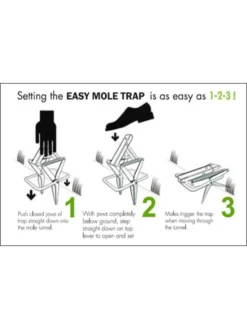 Easy Mole Trap -Indoor Oasis Supplies 8612557 04v 1