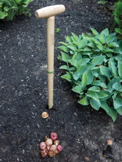 Wicked Big Dibber -Indoor Oasis Supplies 8612667 0028