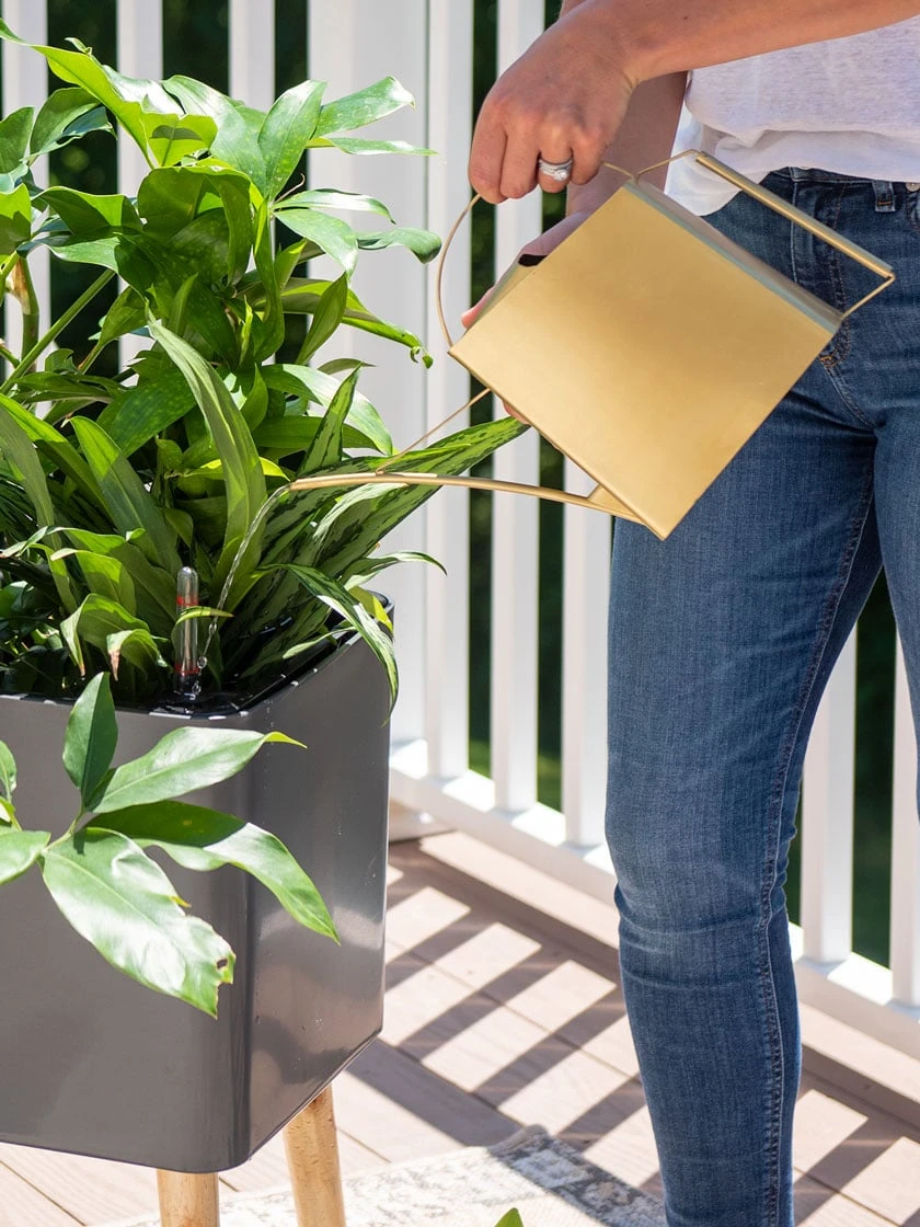 Precision Brass Watering Can 3 Precision Brass Watering Can - Image 3
