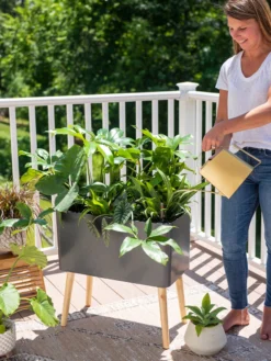 Ava Self-Watering Rectangular Planter 11 Ava Self-Watering Rectangular Planter -Indoor Oasis Supplies 8612691 0011