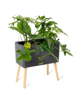 Ava Self-Watering Rectangular Planter 12 Ava Self-Watering Rectangular Planter -Indoor Oasis Supplies 8612691 0013