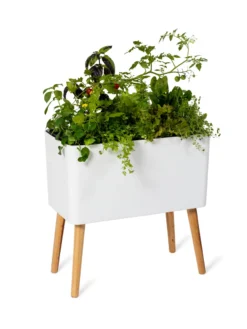 Ava Self-Watering Rectangular Planter 13 Ava Self-Watering Rectangular Planter -Indoor Oasis Supplies 8612691 0014