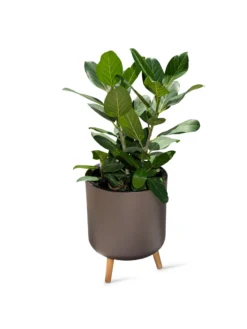 Ava Self-Watering Round Planter 11 Ava Self-Watering Round Planter -Indoor Oasis Supplies 8612692 0003