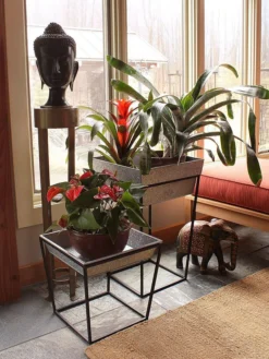 Achla Designs Arne Plant Stand -Indoor Oasis Supplies 8612900 03v