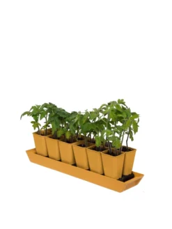 Gardener's Best® XL Seed Starting Kit -Indoor Oasis Supplies 8613066 1029