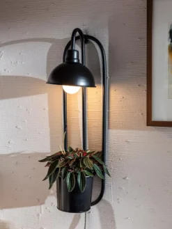 Indoor Oasis Supplies 12 Kira Grow Light Hanging Planter