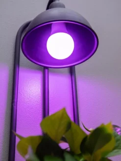 Kira Grow Light Hanging Planter -Indoor Oasis Supplies 8613232 5663