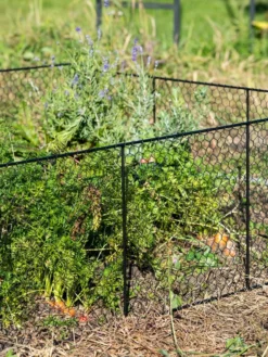 Chicken Wire Critter Fence, 16" High -Indoor Oasis Supplies 8613249 0352