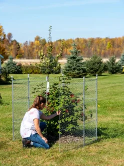 Tall Chicken Wire Critter Fence Extension Panel, Set Of 2 19 Tall Chicken Wire Critter Fence Extension Panel, Set Of 2 -Indoor Oasis Supplies 8613260 0044 1