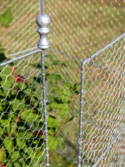 Tall Chicken Wire Critter Fence With Gate -Indoor Oasis Supplies 8613260 0083