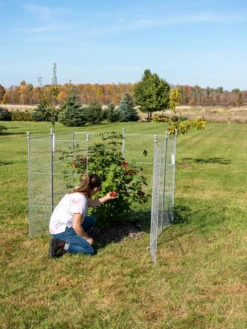 Tall Chicken Wire Critter Fence Extension Panel, Set Of 2 18 Tall Chicken Wire Critter Fence Extension Panel, Set Of 2 -Indoor Oasis Supplies 8613260 0090