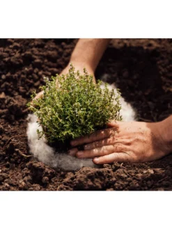 Hortiwool ®, 5 Pad Pack -Indoor Oasis Supplies 8613263 06v