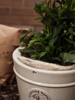 Hortiwool ®, 5 Pad Pack -Indoor Oasis Supplies 8613263 17v