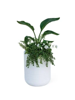 Arden Round Planter -Indoor Oasis Supplies 8613267 0115