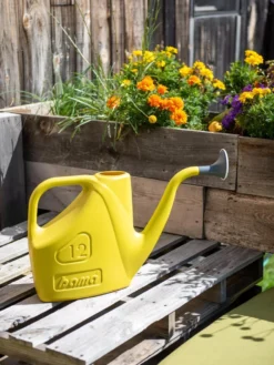 Bama® Watering Can 12 Bama® Watering Can -Indoor Oasis Supplies 8613299 0114