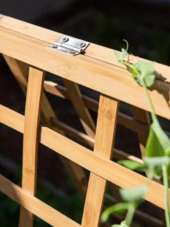 Bambo A Frame Plant Support, 30" X 42.5" -Indoor Oasis Supplies 8613310 6525