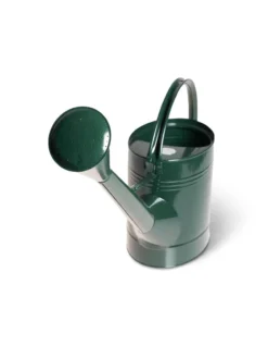 Long Reach Watering Can, Large -Indoor Oasis Supplies 8613346 5830