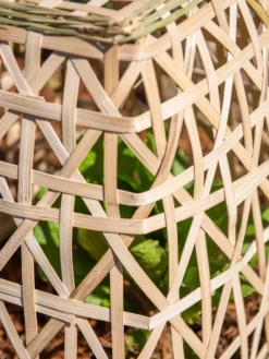 Bamboo Cloche, Set Of 2 -Indoor Oasis Supplies 8613351 0153