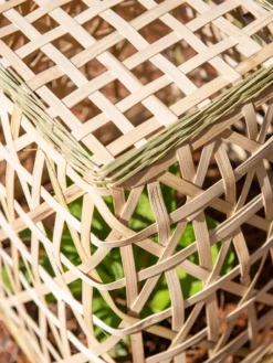 Bamboo Cloche, Set Of 2 -Indoor Oasis Supplies 8613351 0154