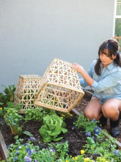 Bamboo Cloche, Set Of 2 -Indoor Oasis Supplies 8613351 6862