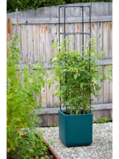 Oasis Self-Watering Tomato Planter With Trellis -Indoor Oasis Supplies 8613440 0376 3 4 1