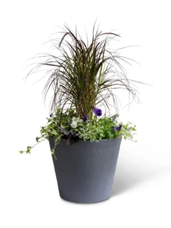 Self-Watering FiberStone Planters -Indoor Oasis Supplies 8613677 8637