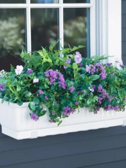 Indoor Oasis Supplies 49 23" Self-Watering Window Box