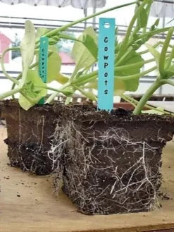 2-3/4" Square Cowpots 6-Packs, Set Of 4 5 2-3/4" Square Cowpots 6-Packs, Set Of 4 -Indoor Oasis Supplies GS37034 05