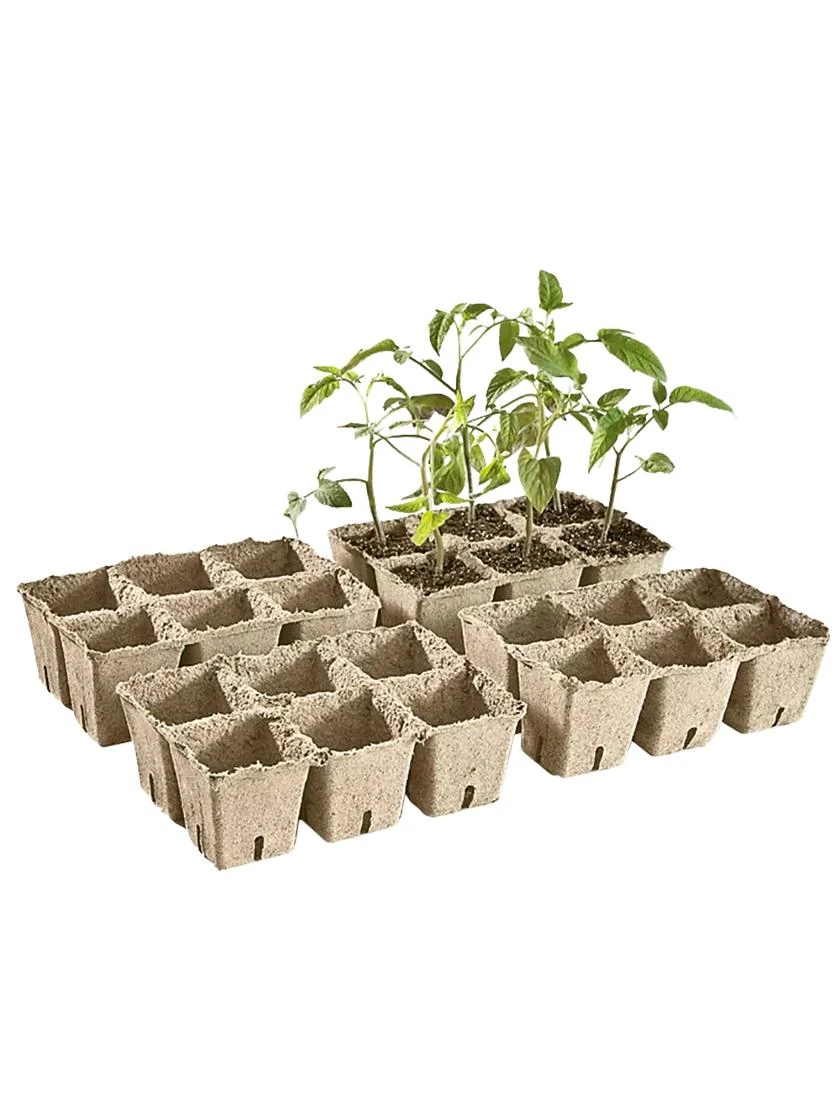 2-3/4" Square Cowpots 6-Packs, Set Of 4 2 2-3/4" Square Cowpots 6-Packs, Set Of 4 - Image 2