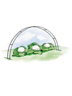 Super Hoops, Set Of 6 -Indoor Oasis Supplies GS39423 02S 3 4