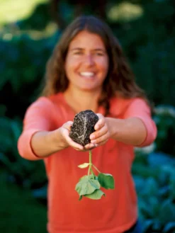 Deep Root Seedstarting System, Black 5 Deep Root Seedstarting System, Black -Indoor Oasis Supplies GSCOVSPR06D2 01