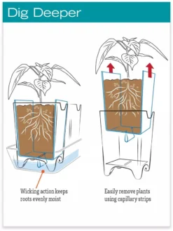 Stoneware Self-Watering Windowsill Planters, Set Of 2 -Indoor Oasis Supplies hiw 8593943 jpg