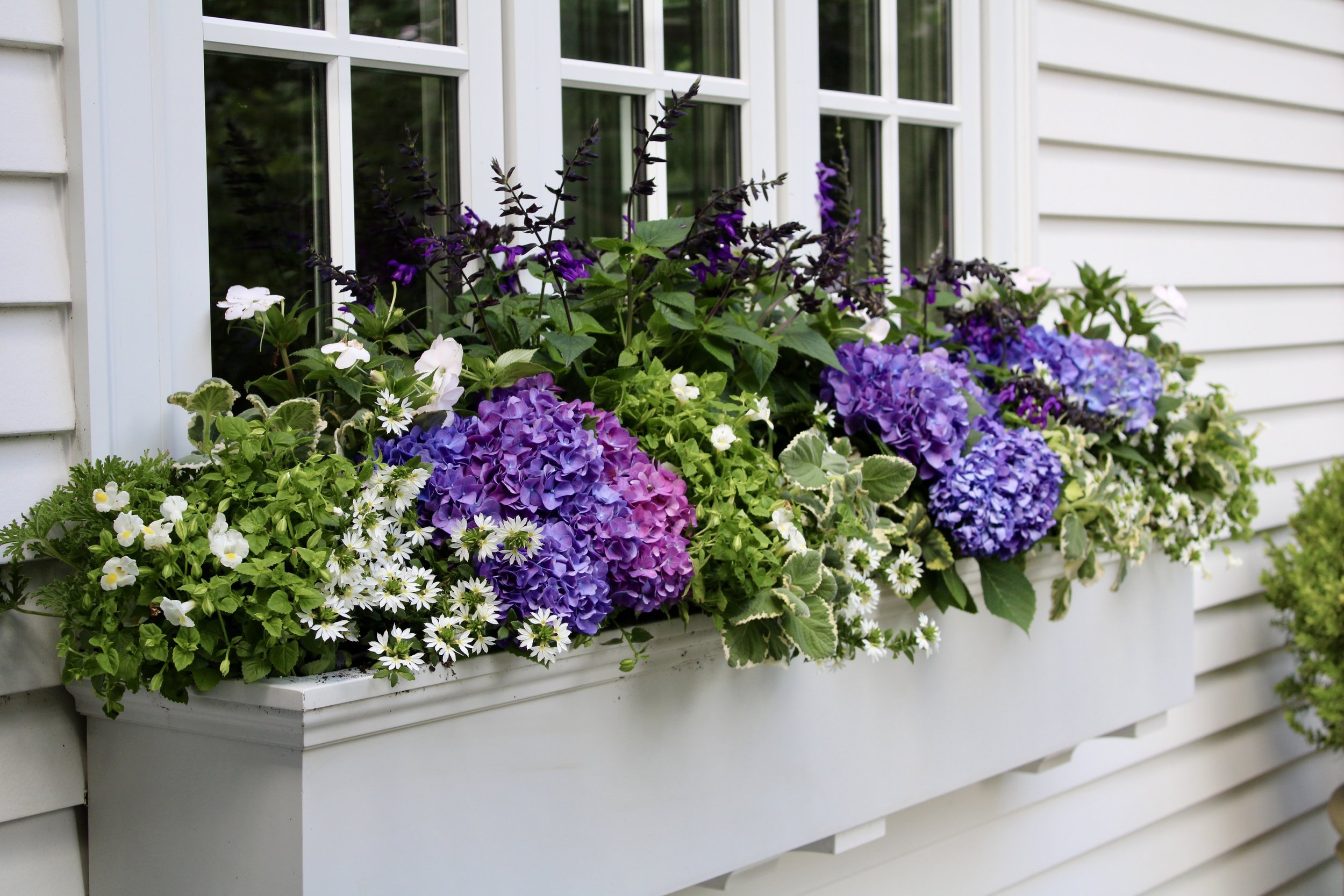 Indoor Oasis Supplies 52 Indoor Oasis Supplies -Indoor Oasis Supplies PhotoJun122C34527PM